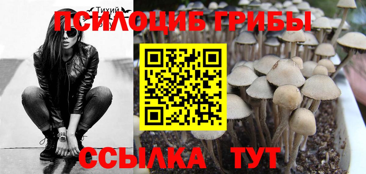 Галлюциногенные грибы прущие грибы  Вход с VPN  Рославль 